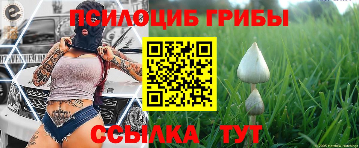 Псилоцибиновые грибы Magic Shrooms  Вход с VPN  Ярцево  Галлюциногенные грибы мицелий 